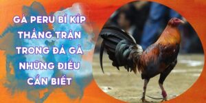 Nhacaiuytinovn38.com – Trang Web Đối Tác Uy Tín Hàng Đầu Cho Người Shi